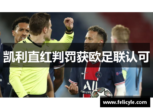 凯利直红判罚获欧足联认可